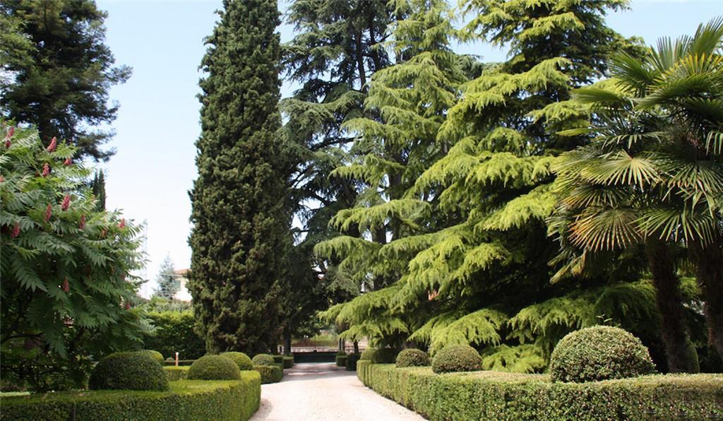 Villa Avesani Pastrengo Eksteriør billede